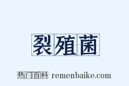 裂殖菌是什么意思的图片